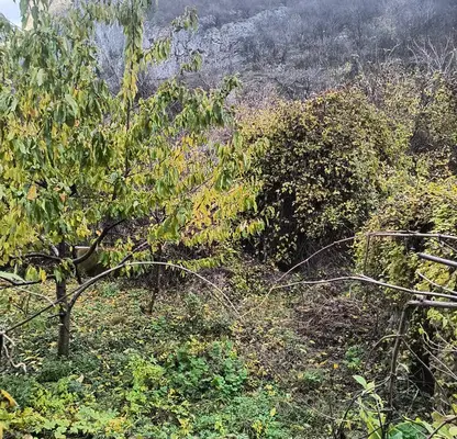Photo 2 — Plot in Vraca, Centyr