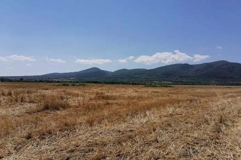 Plot in Lozen, Център