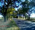 Снимка 5 — Парцел в Бургас, Черно море