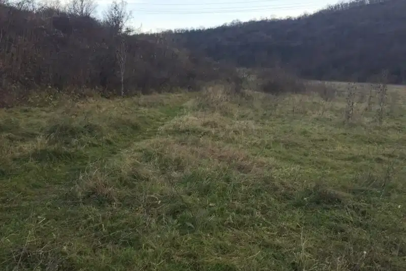 Plot in Veliko Tyrnovo, Cholakovci