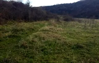 Парцел във Велико Търново, Чолаковци