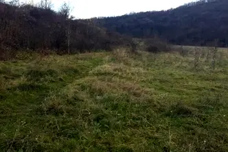 Парцел във Велико Търново, Чолаковци