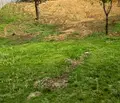 Снимка 4 — Парцел в Перник, Църква