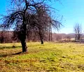 Снимка 3 — Парцел в Перник, Църква