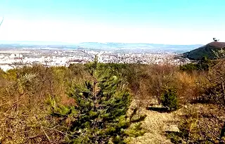 Парцел в Шумен, Дивизионна болница