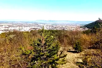 Парцел в Шумен, Дивизионна болница