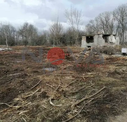 Photo 5 — Plot in Dobrich, Dobrotica - Varnenska