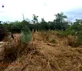 Снимка 4 — Парцел в Русе, Долапите