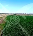 Парцел в Бургас, Долно Езерово