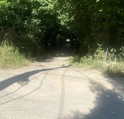 Photo 2 — Plot in Sofiya, Dragalevci