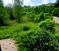 Снимка 4 — Парцел в София, Драгалевци
