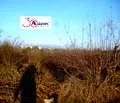Снимка 2 — Парцел в Добрич, Дружба 1