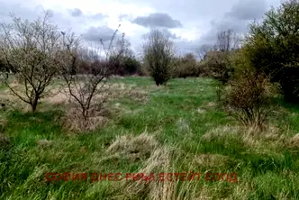 Парцел в София, Дружба 2
