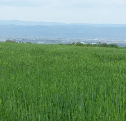 Photo 2 — Plot in Sofiya, Drujba 2