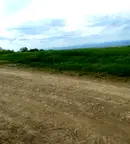 Парцел в София, Дружба 2