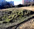 Снимка 3 — Парцел в Плевен, Дружба 3