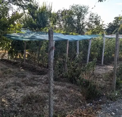 Photo 2 — Plot in Ruse, Drujba 3