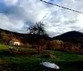 Снимка 2 — Парцел във Враца, Дъбника