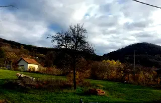 Парцел във Враца, Дъбника