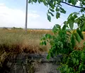 Снимка 4 — Парцел във Враца, Дъбника