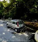 Парцел в София, Дървеница