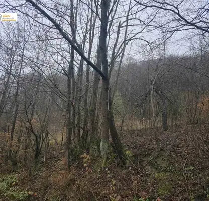 Photo 4 — Plot in Gabrovo, Etyra