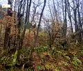 Снимка 5 — Парцел в Габрово, Етъра