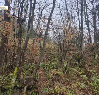 Photo 5 — Plot in Gabrovo, Etyra