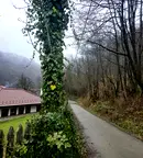 Парцел в Габрово, Етъра