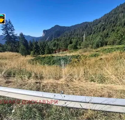 Photo 3 — Plot in Smolyan, Ezerovo