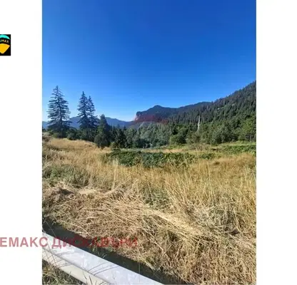 Photo 4 — Plot in Smolyan, Ezerovo