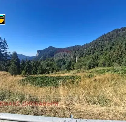Photo 5 — Plot in Smolyan, Ezerovo