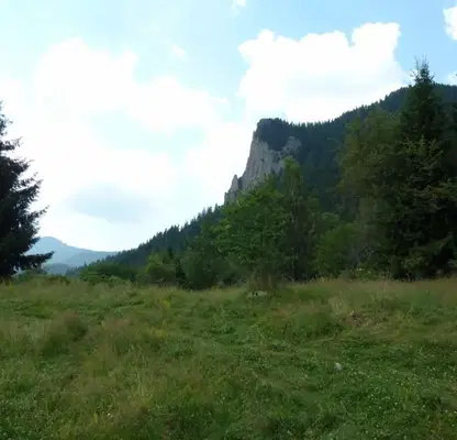 Photo 3 — Plot in Smolyan, Ezerovo
