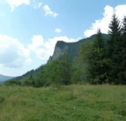 Photo 4 — Plot in Smolyan, Ezerovo