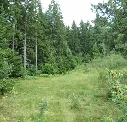 Photo 5 — Plot in Smolyan, Ezerovo
