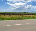 Снимка 4 — Парцел в София, Филиповци