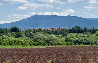 Парцел в София, Филиповци