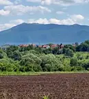 Парцел в София, Филиповци