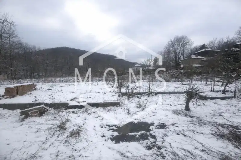 Plot in Gabrovo, Gachevci