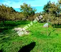 Снимка 5 — Парцел във Варна, Галата