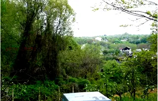 Парцел във Варна, Галата