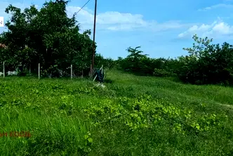Парцел във Варна, Галата