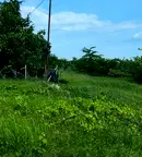 Парцел във Варна, Галата