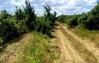Парцел във Варна, Галата