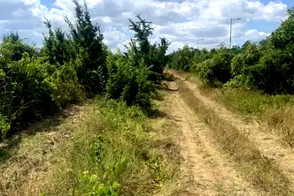 Парцел във Варна, Галата