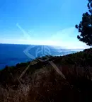 Парцел във Варна, Галата
