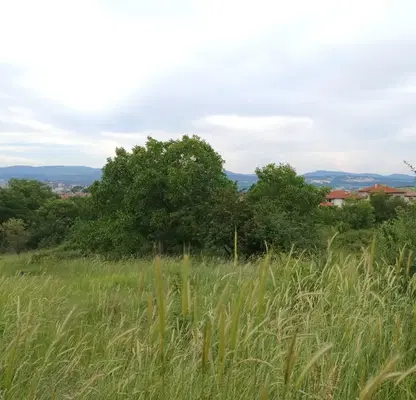 Photo 4 — Plot in Kyrdjali, Gledka