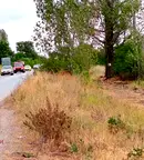 Парцел в Пловдив, Голямоконарско шосе