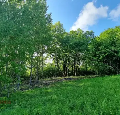 Photo 2 — Plot in Sofiya, Gorna Banya