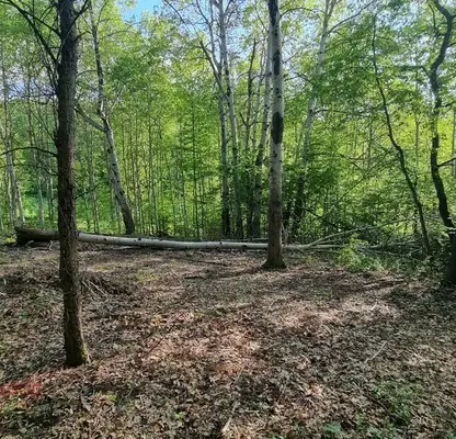 Photo 3 — Plot in Sofiya, Gorna Banya